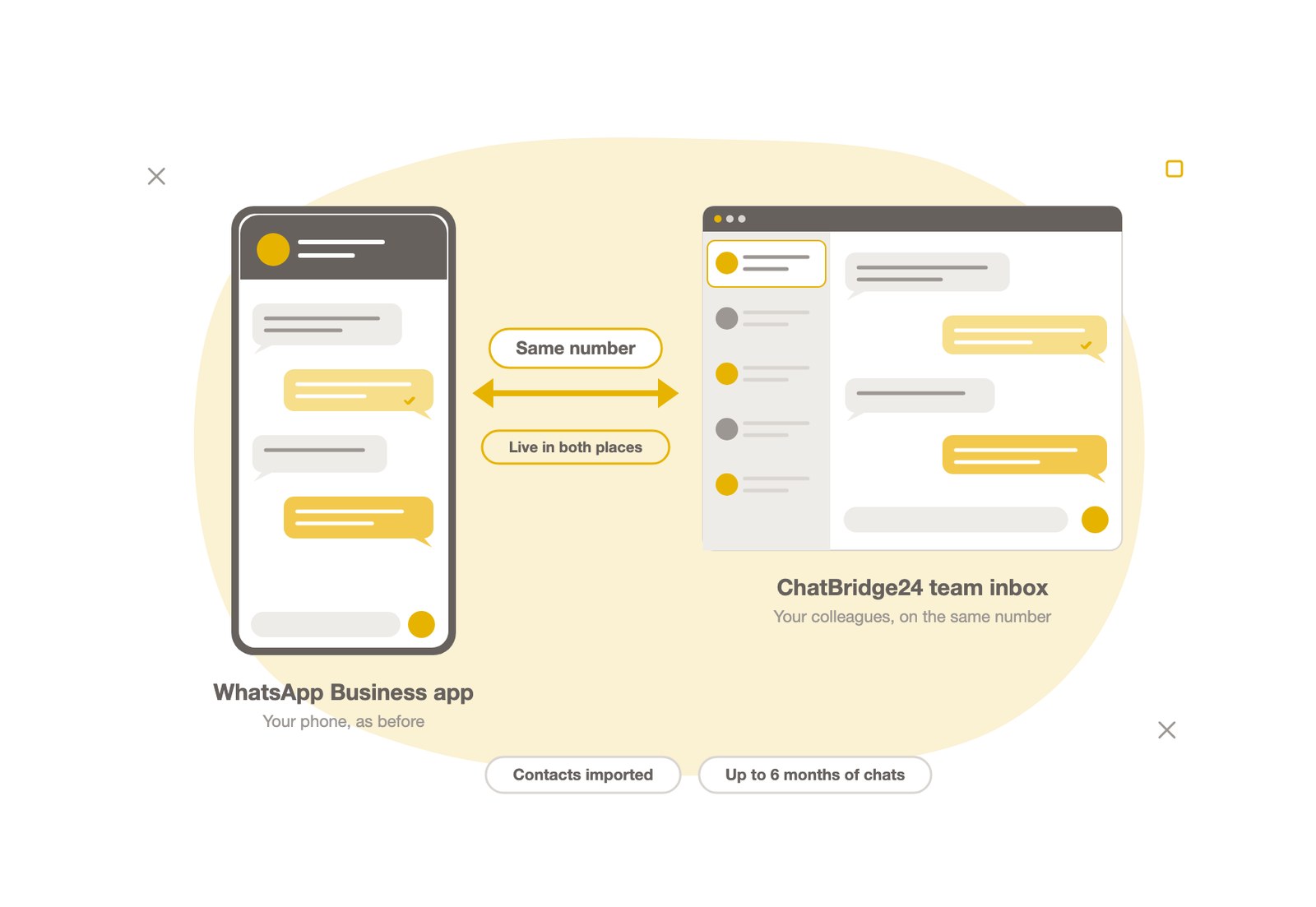 WhatsApp coexistence - WhatsApp Business app and API on the same number with ChatBridge24